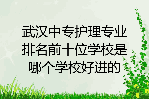 武汉中专护理专业排名前十位学校是哪个学校好进的