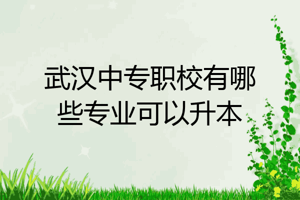 武汉中专职校有哪些专业可以升本