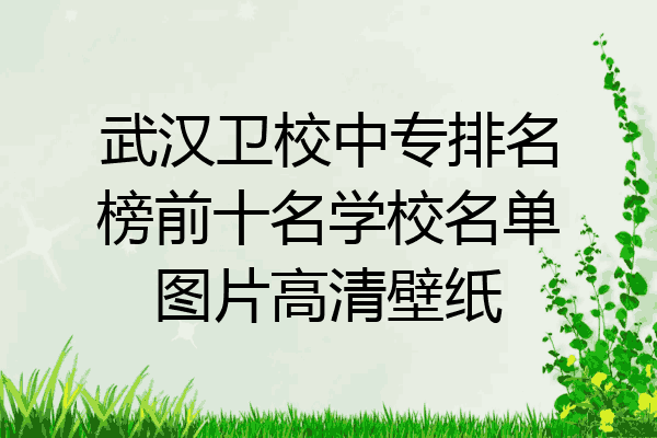 武汉卫校中专排名榜前十名学校名单图片高清壁纸