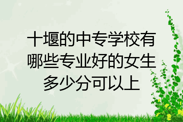 十堰的中专学校有哪些专业好的女生多少分可以上