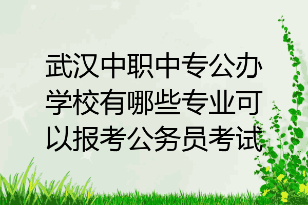 武汉中职中专公办学校有哪些专业可以报考公务员考试