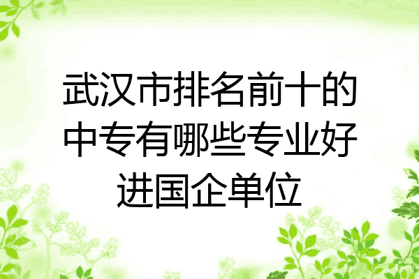 武汉市排名前十的中专有哪些专业好进国企单位