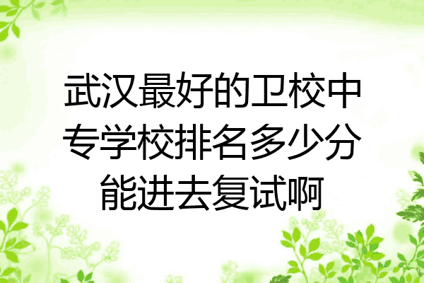 武汉最好的卫校中专学校排名多少分能进去复试啊
