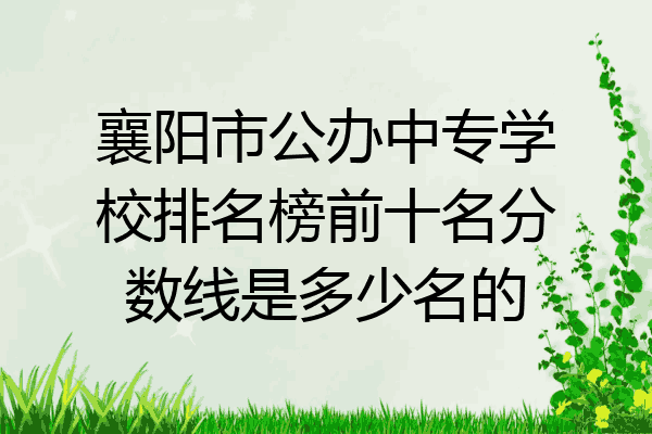 襄阳市公办中专学校排名榜前十名分数线是多少名的