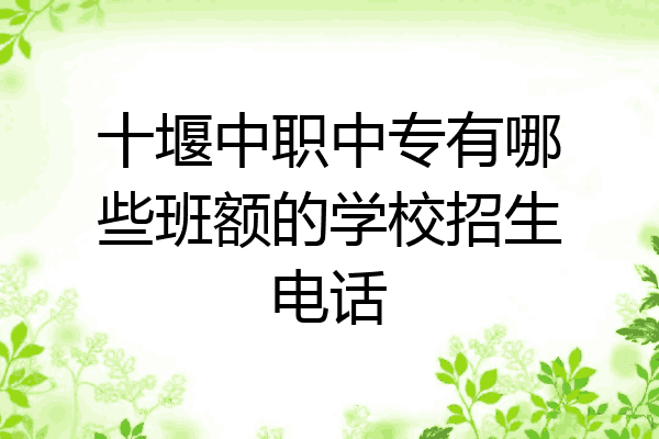 十堰中职中专有哪些班额的学校招生电话