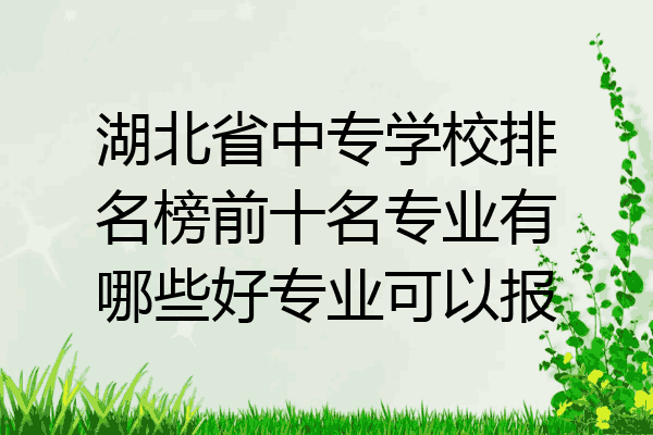 湖北省中专学校排名榜前十名专业有哪些好专业可以报
