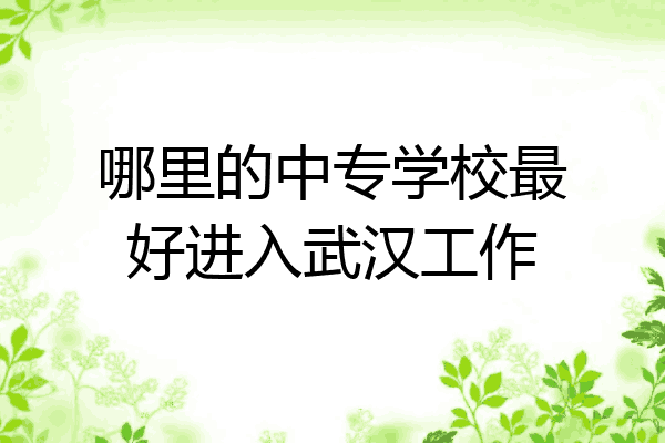 哪里的中专学校最好进入武汉工作