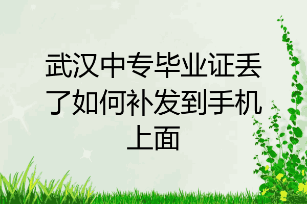 武汉中专毕业证丢了如何补发到手机上面