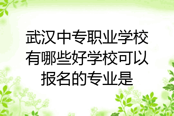 武汉中专职业学校有哪些好学校可以报名的专业是