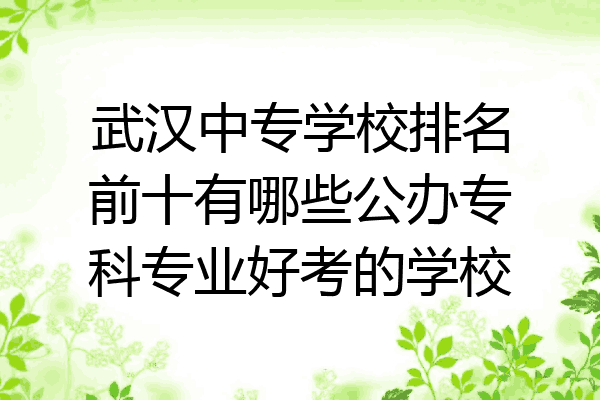 武汉中专学校排名前十有哪些公办专科专业好考的学校