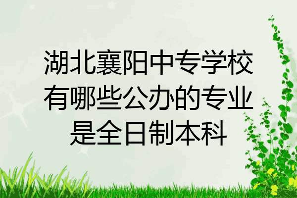 湖北襄阳中专学校有哪些公办的专业是全日制本科