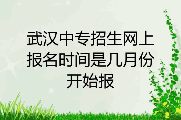 武汉中专招生网上报名时间是几月份开始报