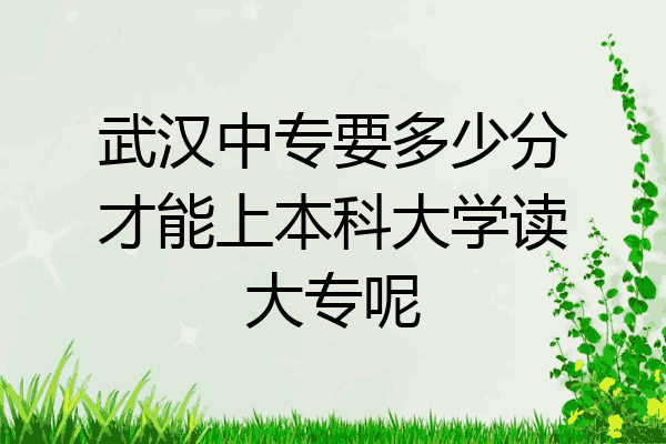 武汉中专要多少分才能上本科大学读大专呢