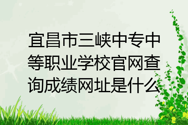 宜昌市三峡中专中等职业学校官网查询成绩网址是什么