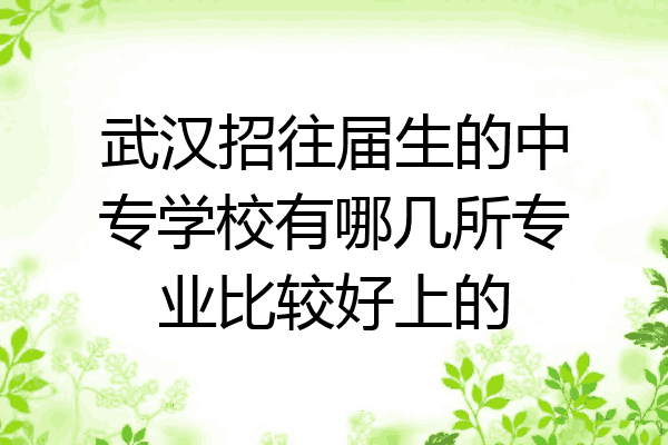 武汉招往届生的中专学校有哪几所专业比较好上的