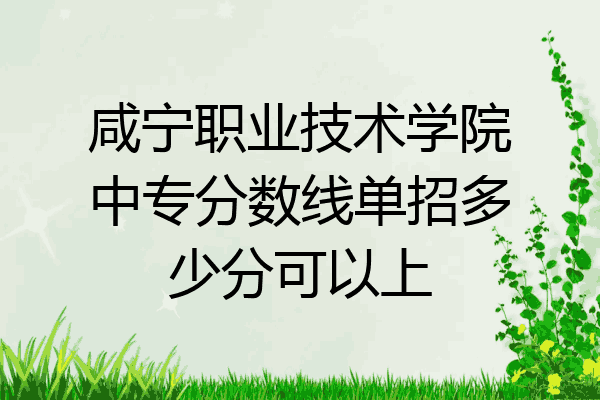 咸宁职业技术学院中专分数线单招多少分可以上