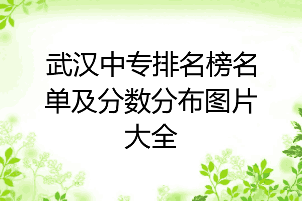 武汉中专排名榜名单及分数分布图片大全