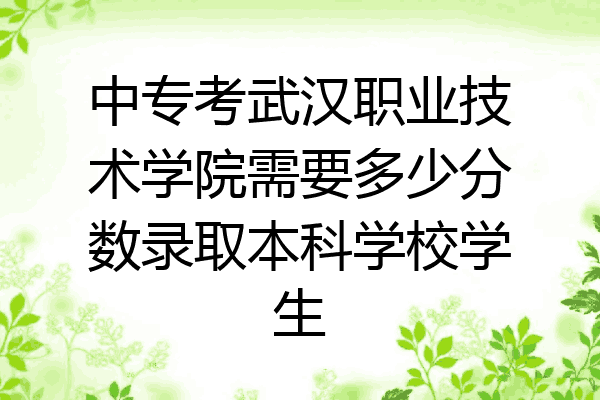 中专考武汉职业技术学院需要多少分数录取本科学校学生