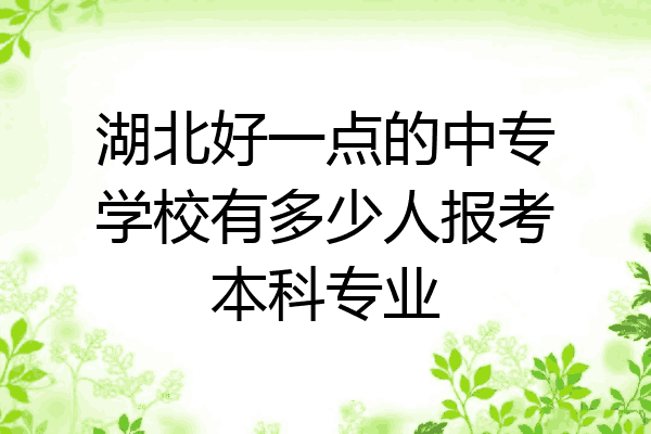 湖北好一点的中专学校有多少人报考本科专业