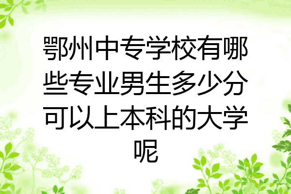鄂州中专学校有哪些专业男生多少分可以上本科的大学呢