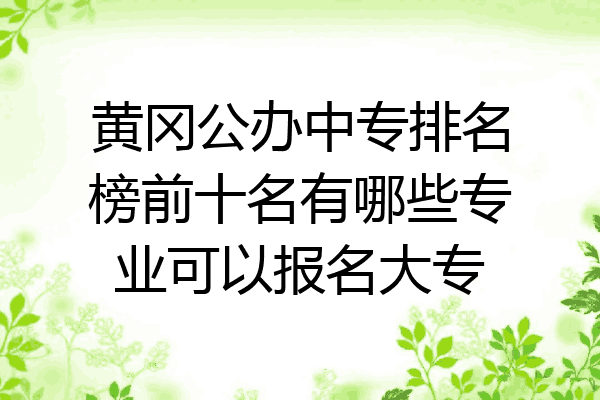 黄冈公办中专排名榜前十名有哪些专业可以报名大专