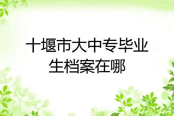 十堰市大中专毕业生档案在哪