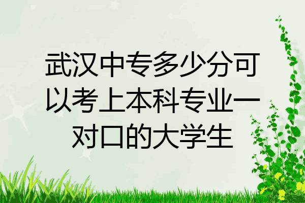 武汉中专多少分可以考上本科专业一对口的大学生