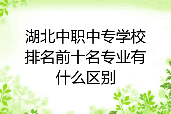 湖北中职中专学校排名前十名专业有什么区别