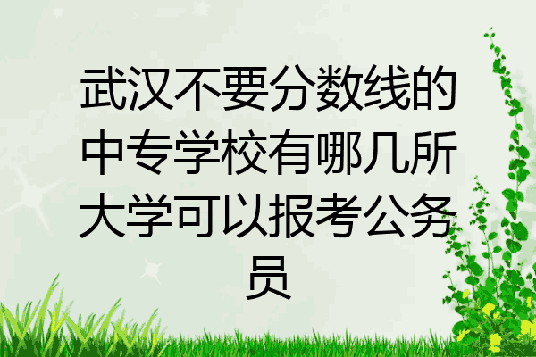 武汉不要分数线的中专学校有哪几所大学可以报考公务员