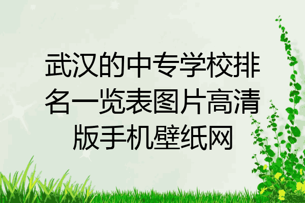 武汉的中专学校排名一览表图片高清版手机壁纸网