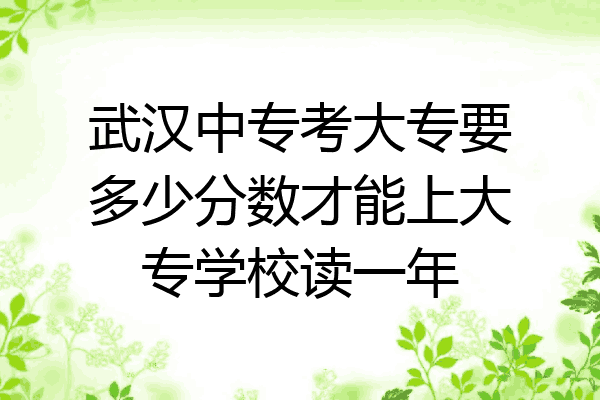 武汉中专考大专要多少分数才能上大专学校读一年