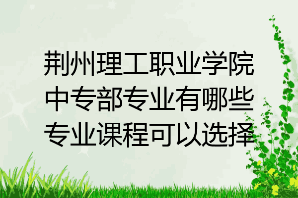 荆州理工职业学院中专部专业有哪些专业课程可以选择