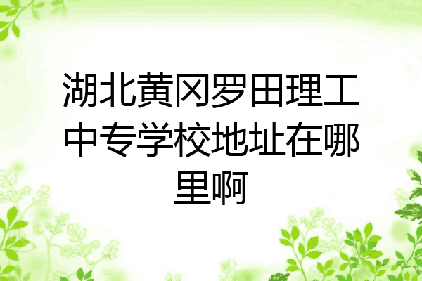 湖北黄冈罗田理工中专学校地址在哪里啊