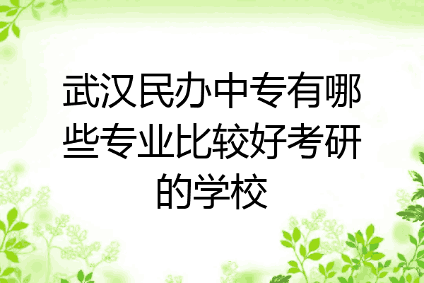 武汉民办中专有哪些专业比较好考研的学校