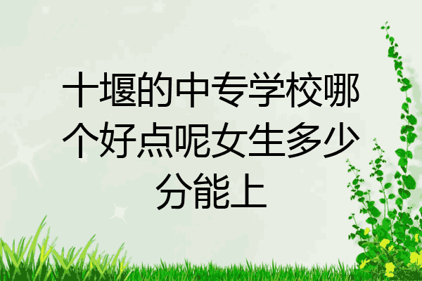 十堰的中专学校哪个好点呢女生多少分能上
