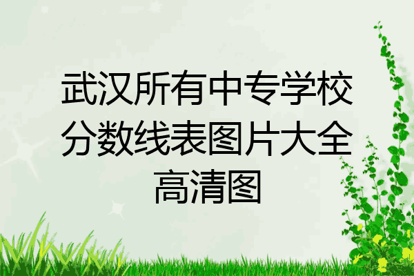 武汉所有中专学校分数线表图片大全高清图