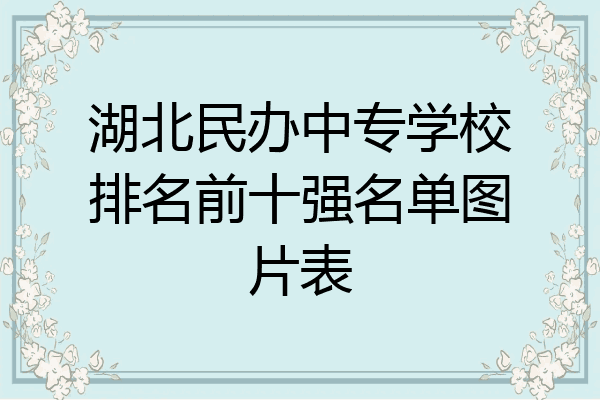 湖北民办中专学校排名前十强名单图片表