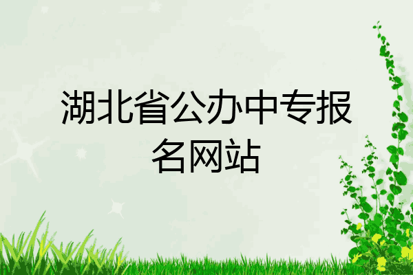 湖北省公办中专报名网站