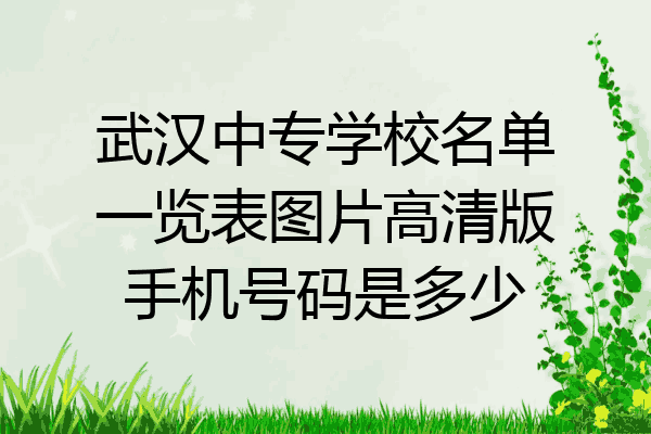 武汉中专学校名单一览表图片高清版手机号码是多少