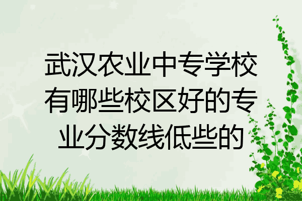武汉农业中专学校有哪些校区好的专业分数线低些的