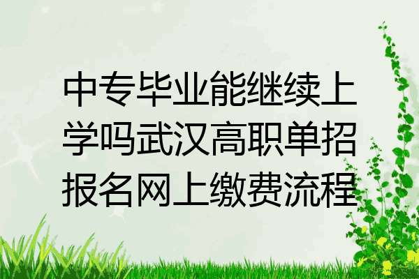 中专毕业能继续上学吗武汉高职单招报名网上缴费流程