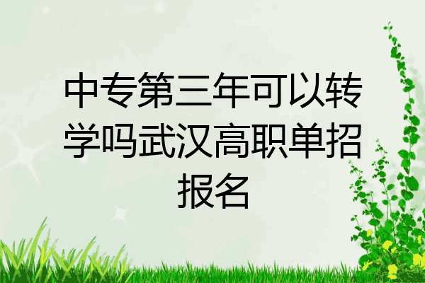 中专第三年可以转学吗武汉高职单招报名