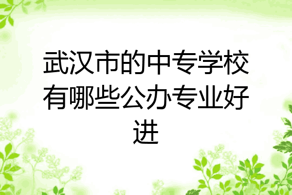 武汉市的中专学校有哪些公办专业好进