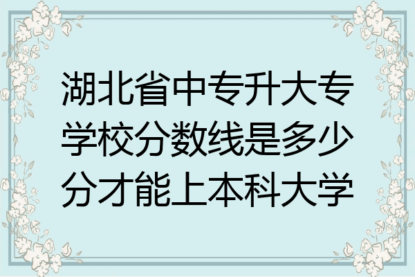 湖北省中专升大专学校分数线是多少分才能上本科大学