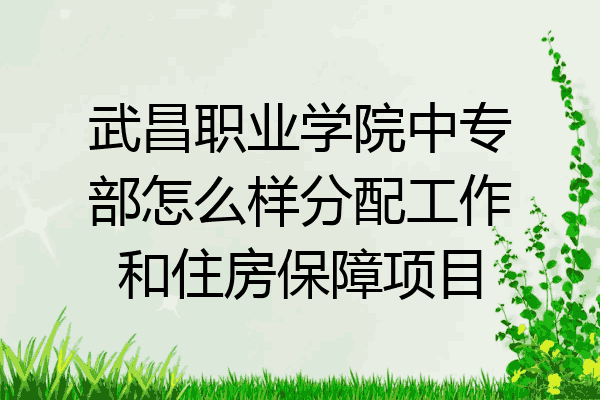 武昌职业学院中专部怎么样分配工作和住房保障项目