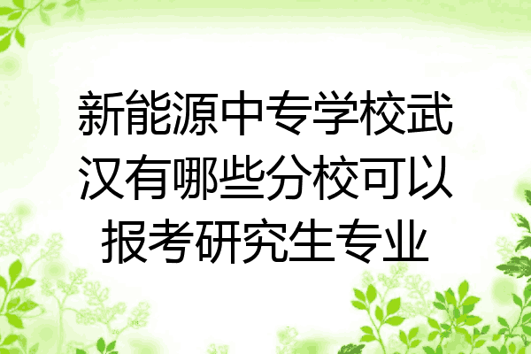 新能源中专学校武汉有哪些分校可以报考研究生专业