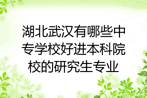 湖北武汉有哪些中专学校好进本科院校的研究生专业