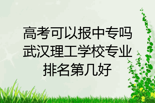 高考可以报中专吗武汉理工学校专业排名第几好