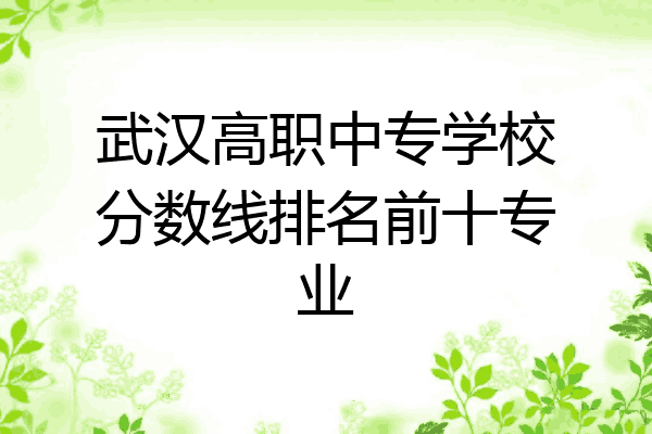 武汉高职中专学校分数线排名前十专业