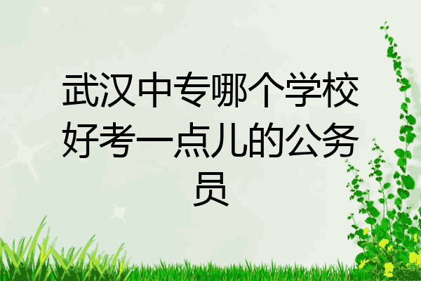 武汉中专哪个学校好考一点儿的公务员